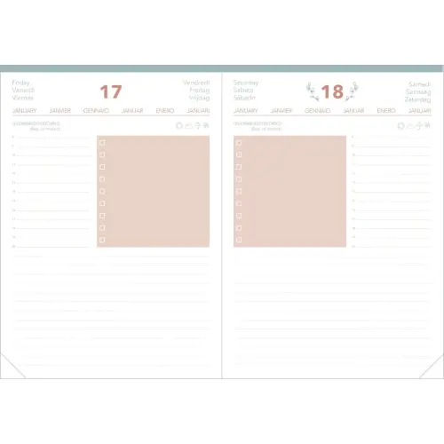 Agenda journalier DAILY 21 COLOR ML Pastel - 15x21 cm - Orange - Janvier à décembre - QUO VADIS photo du produit