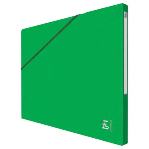 10 Chemises - Alpina - Carte lustrée - Vert - OXFORD photo du produit