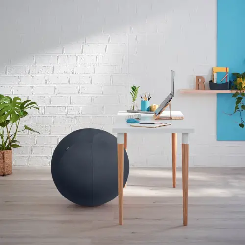 Ballon assise ergonomique Ergo Cosy Active - &Oslash;  65 cm - Noir - Leitz photo du produit