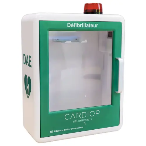 Armoire intérieure pour DAE photo du produit