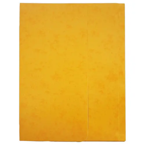 10 Chemises pochettes carte lustrée avec soufflet 250 g photo du produit