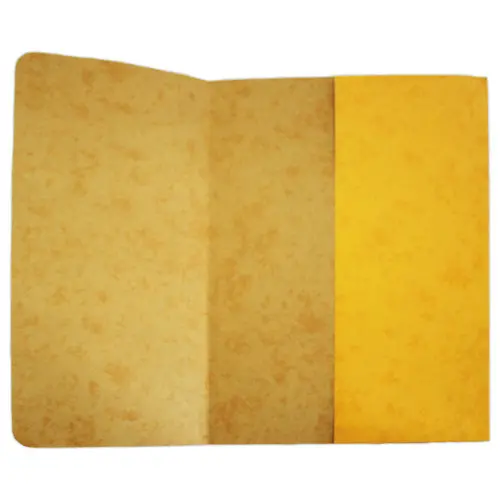 10 Chemises pochettes carte lustrée avec soufflet 250 g photo du produit