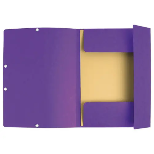 Chemise 3 rabats à élastiques carte lustrée - Violet - EXACOMPTA photo du produit