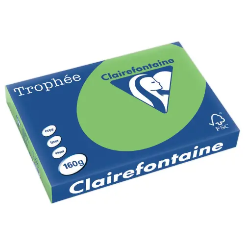 Ramette de 250 feuilles de papier couleurs intenses Troph&eacute;e A3 - 160g photo du produit