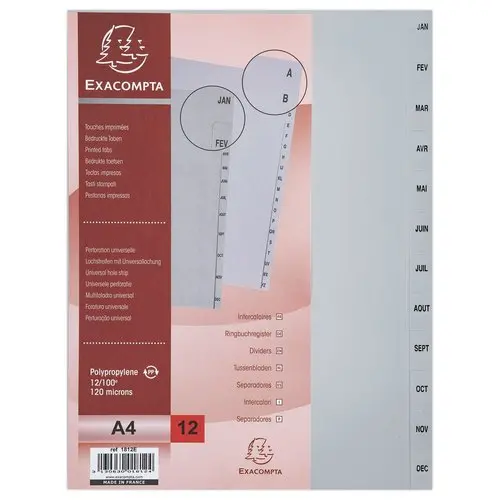 Jeu d'intercalaires mensuels FOREVER A4 - 12 touches - EXACOMPTA photo du produit