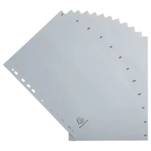 Jeu d'intercalaires mensuels FOREVER A4 - 12 touches - EXACOMPTA photo du produit