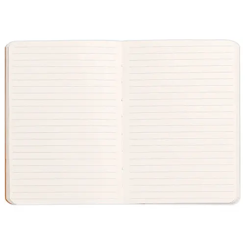 Carnet broché Rhodiarama A6 140 pages,ligné, couverture souple noire photo du produit