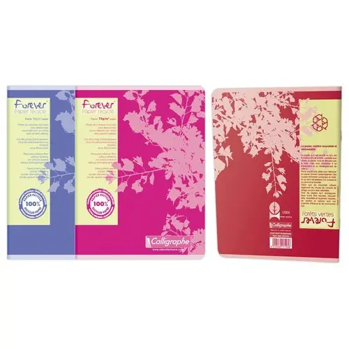 Cahier piqué recyclé 17x22cm, 70g, Seyes, 96 pages photo du produit