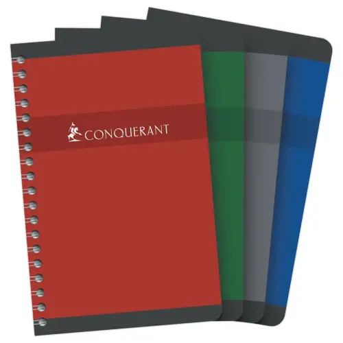 Carnet spirales 11x17cm 100 pages - 5X5 - 70g photo du produit