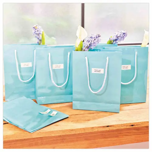 10 Rubans pour titreuse DYMO D1 19mm - blanc impression noire photo du produit