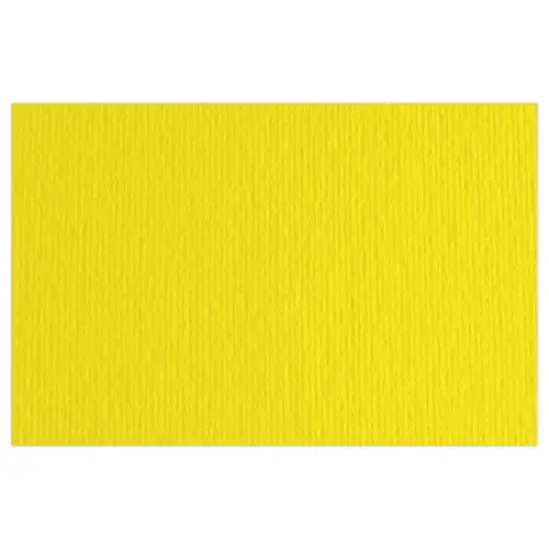 20 Feuilles de dessin "ELLE ERRE" 50x70 cm - 220gr - Jaune photo du produit