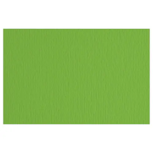 20 Feuilles de dessin "ELLE ERRE" 50x70 cm - 220gr photo du produit