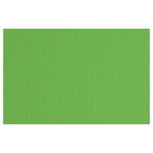 20 Feuilles de dessin "ELLE ERRE" 50x70 cm - 220gr - Vert photo du produit