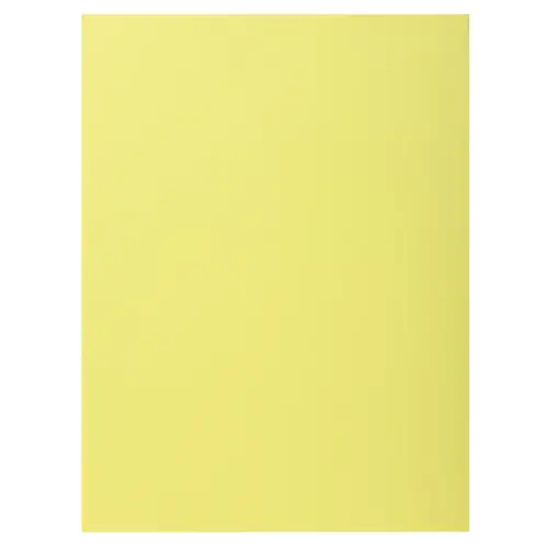100 Chemises 1 rabat 160 g carte qualité supérieure PEFC - couleurs pastel photo du produit
