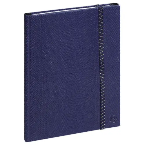 Agenda semainier All in one - 15x21cm - Bleu - Septembre à décembre - EXACOMPTA photo du produit