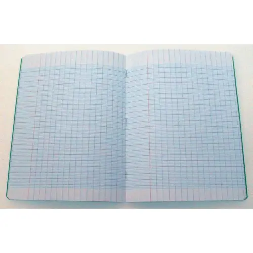 Cahier piqûre Seyès - A5+ 90g - 96 pages - Vert - Access photo du produit