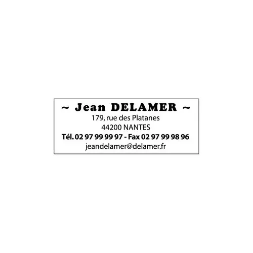 Timbre personnalisable Printy 4913 - Bo&icirc;tier rouge - Encre noire - 58x 22 mm - Trodat photo du produit