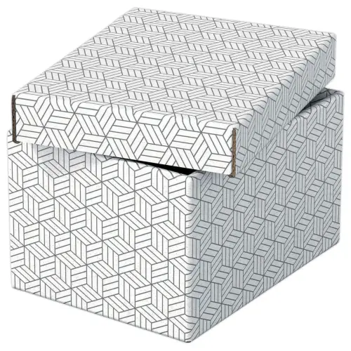 3 Boîtes de rangement Home - Taille S - Blanc - Esselte photo du produit