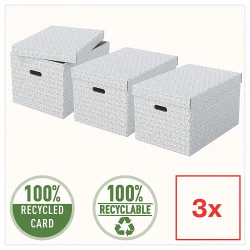 3 Boîtes de rangement Home taille L - Blanc - Esselte photo du produit