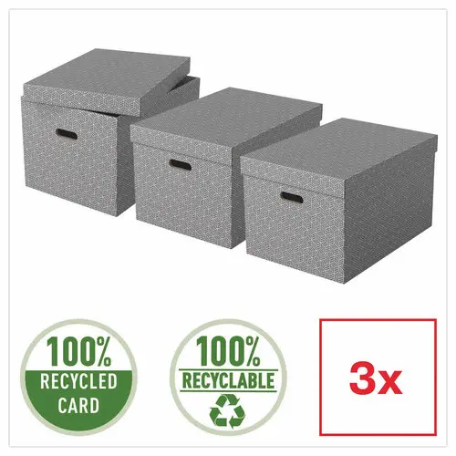 3 Boîtes de rangement Home taille L - Gris - ESSELTE photo du produit