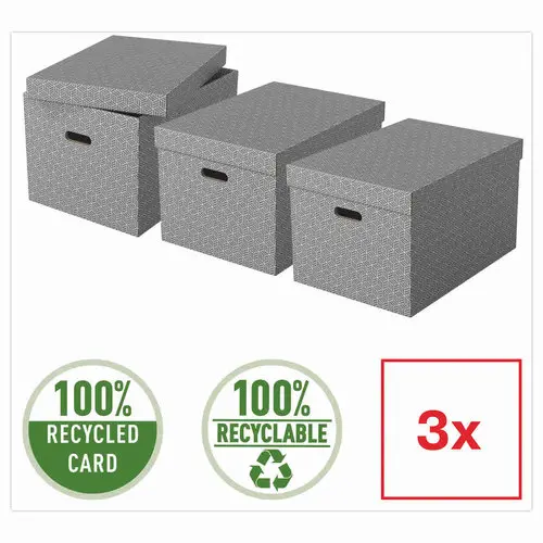 3 Boîtes de rangement Home taille L - Gris - ESSELTE photo du produit