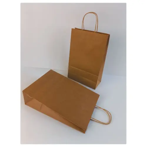 200 Sac poign&eacute;es torsad&eacute;es format Moyen : 22 x 33 x 10 cm- Naturel photo du produit