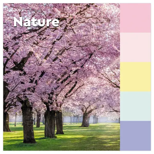 24 Notes Recyclées Collection Nature, 38 x 51 mm photo du produit