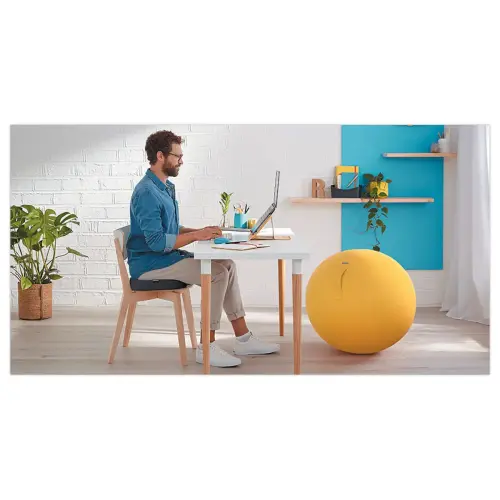 Coussin de si&egrave;ge ergonomique Ergo Cosy - Gris - LEITZ photo du produit