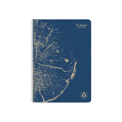 Cahier recyclé à spirales pages A4 ligné. photo du produit