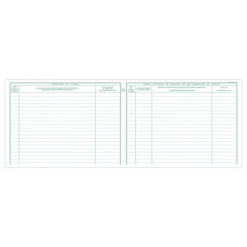 Piqûre inspection du travail et du C.S.E. - 24x32 cm - 16 pages photo du produit