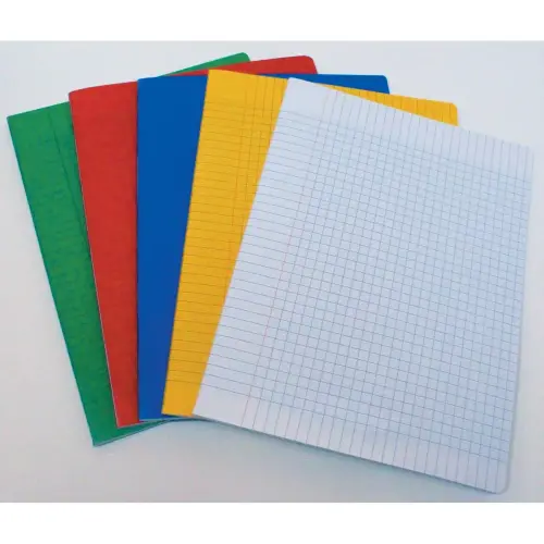 Cahier piqûre Seyès - A4+ 90g - 96 pages - Coloris aléatoire - Access photo du produit