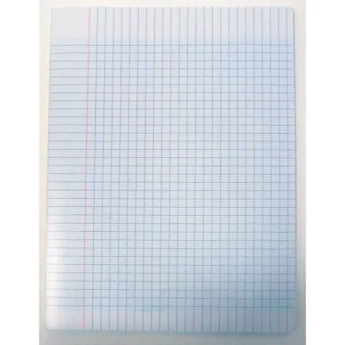 Cahier piqûre Seyès - A4+ 90g - 96 pages - Coloris aléatoire - Access photo du produit