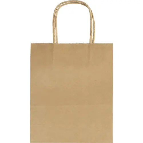 20 Sacs en papier kraft - 18 x 21 x 8 cm - 125g photo du produit