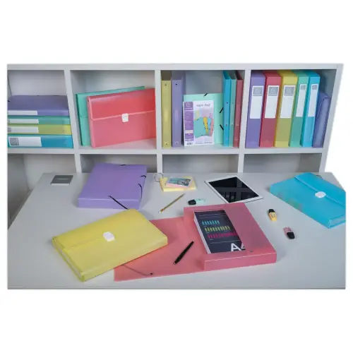 Boîte classement Chromaline A4 - dos 2,5 cm Pastel - Couleurs assortis - Exacompta photo du produit