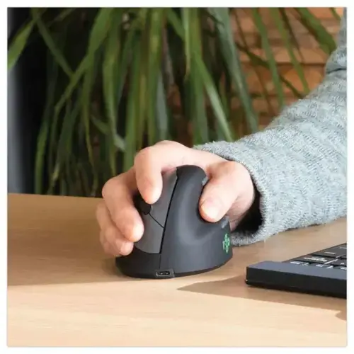 Souris egonomique sans fil droit photo du produit
