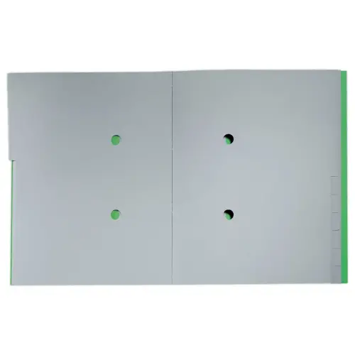 Trieur avec élastiques - 12 touches- 100% recyclé - vert - LEITZ photo du produit