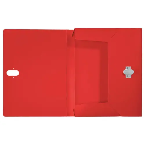 Boîte de classement recyclé - rouge - LEITZ photo du produit