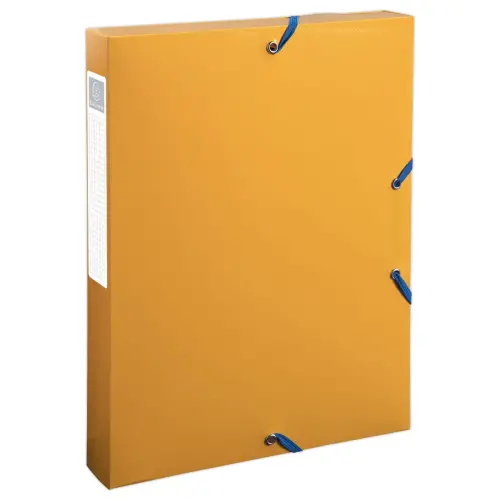 Boîte de classement PP recyclé BeeBluedos dos 4 cm - Assortis - EXACOMPTA photo du produit