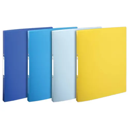 4 Classeurs 2 anneaux 1.5 cm PP recyclé BeeBlue - A4 - EXACOMPTA photo du produit