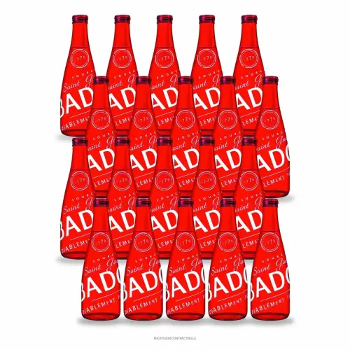 20 Bouteilles en verre – 33 cl – Badoit Rouge Intense photo du produit