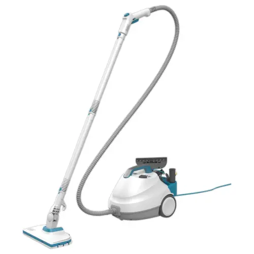 Nettoyeur vapeur multifonctions photo du produit