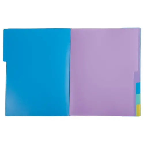 Trieur Forever Young - 8 compartiments - Assortis - EXACOMPTA photo du produit