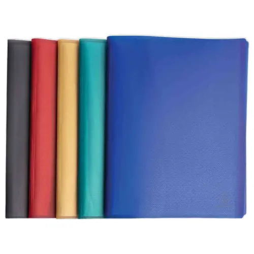 Protège-documents - polypropylène recyclé - 100 vues - EXACOMPTA photo du produit