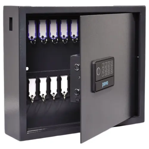 Armoire &agrave; cl&eacute;s haute s&eacute;curit&eacute; - 20 cl&eacute;s - PAVO photo du produit