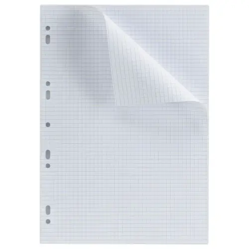 50 Copies doubles A4 - 70G perfor&eacute;es - 5x5 - Conquerant photo du produit