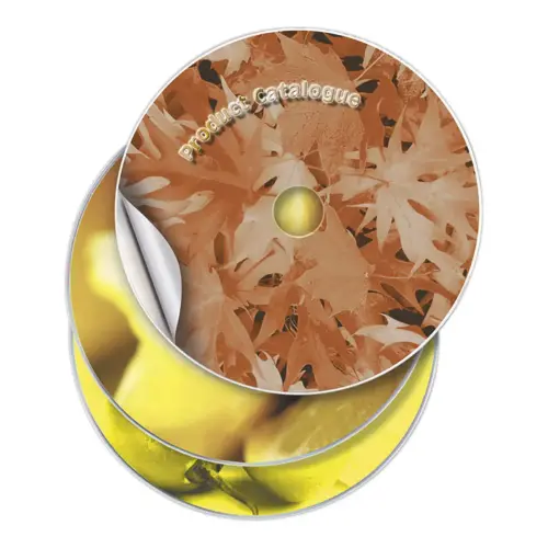 50 &eacute;Tiquettes CD format maxi couvrant laser  blanches  &Oslash; 117 mm photo du produit