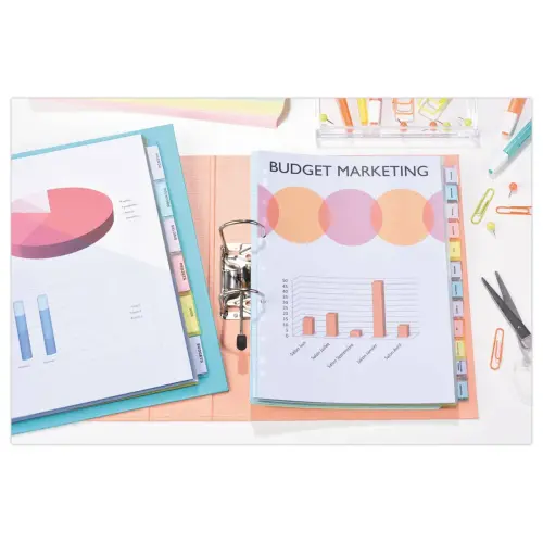 12 Doubles Pochettes Intercalaires à onglets, A4+, Polypro transparent photo du produit