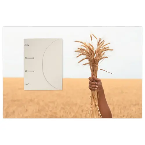 10 Chemise Smartfolder Uno Tree-free DJOIS - Beige photo du produit