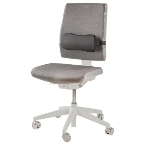 Coussin lombaire - Noir - Fellowes photo du produit