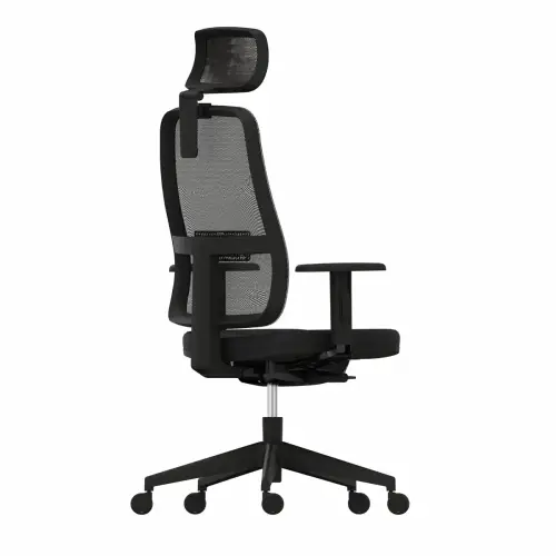Fauteuil PAUL - Avec accotoirs - Têtière - Livré monté photo du produit